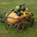 DSC07575.jpg