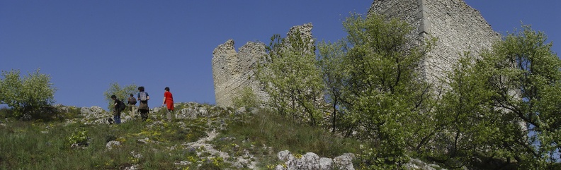 02panorama.jpg