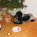 DSC02146.jpg