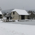 DSC05040p.jpg