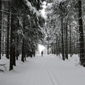 DSC05112.jpg