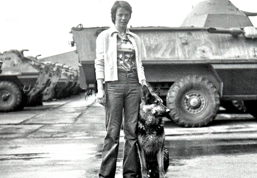 1978 Šiška na vojně