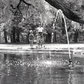 Z1979764.jpg