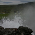 P237.jpg
